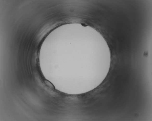 X0000115760194200912241736