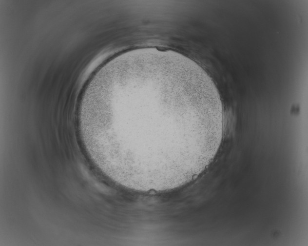 X0000115760195200912241736