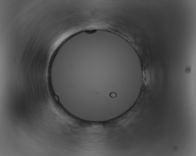 X0000115760196200912241736