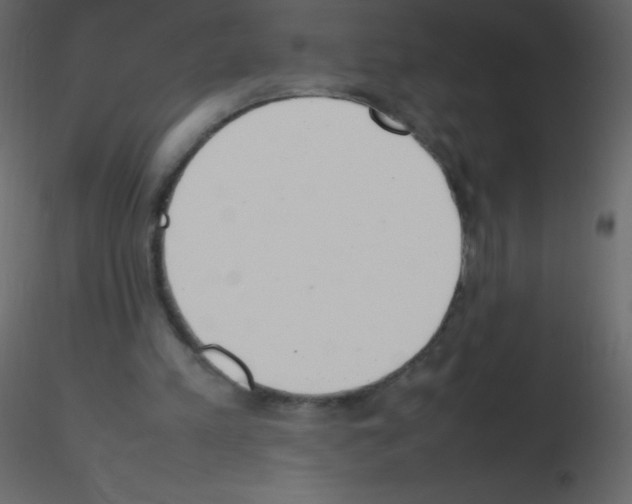 X0000115760197200912241736
