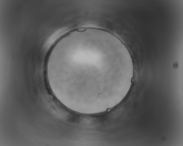 X0000115760199200912241736