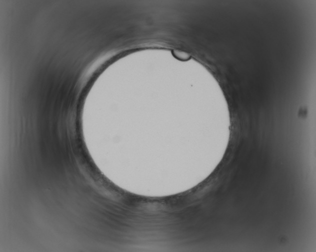 X0000115760200200912241736