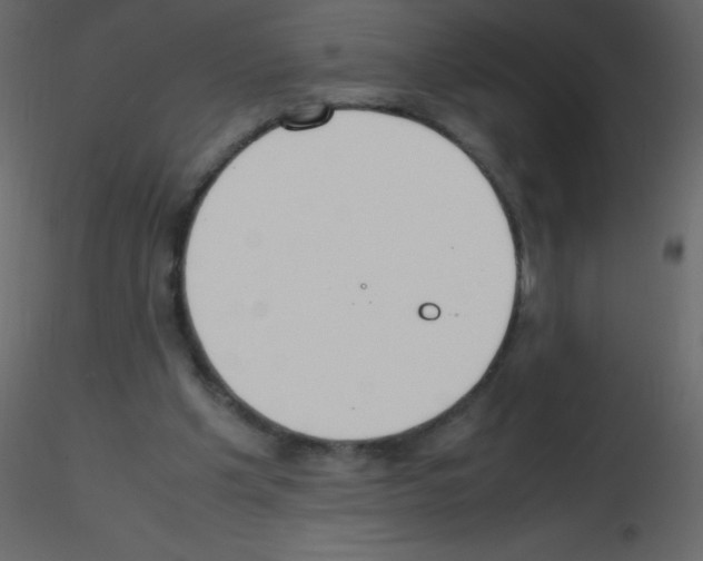 X0000115760201200912241736
