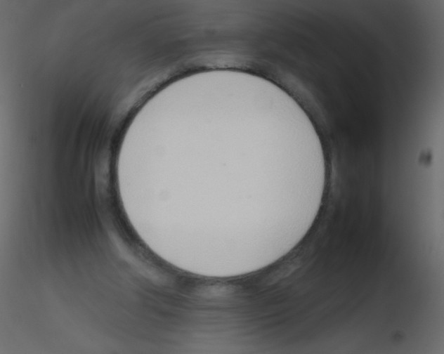 X0000115760202200912241736