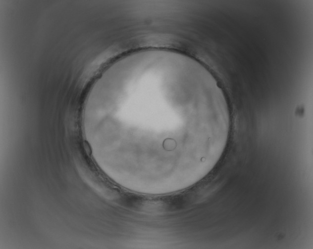 X0000115760203200912241736