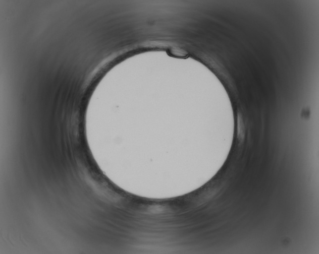 X0000115760204200912241736