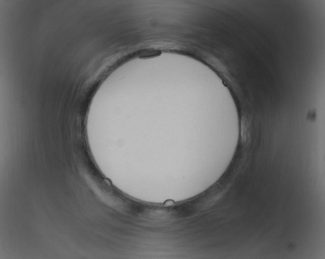 X0000115760205200912241736