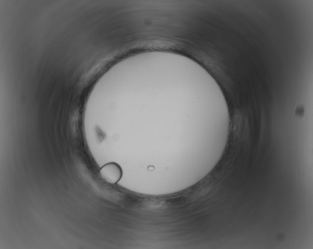 X0000115760206200912241736