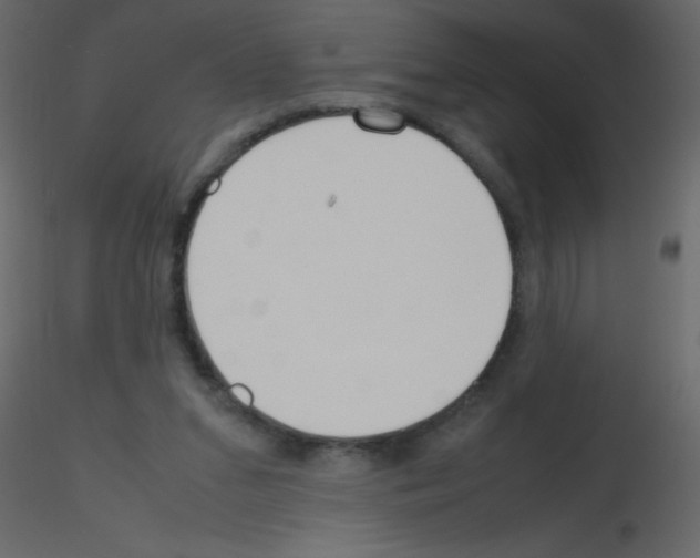 X0000115760207200912241736