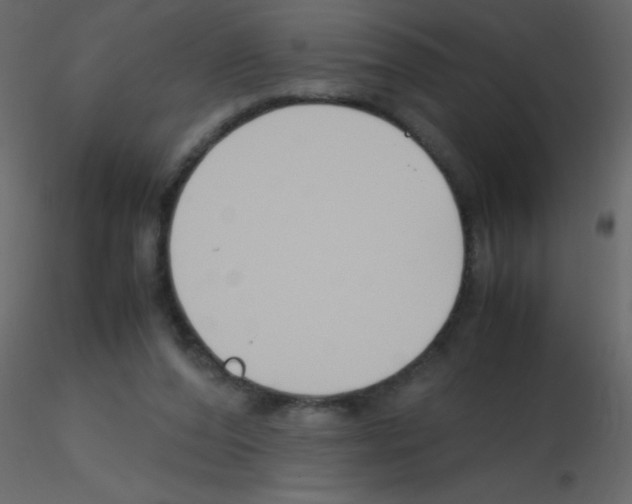 X0000115760208200912241736