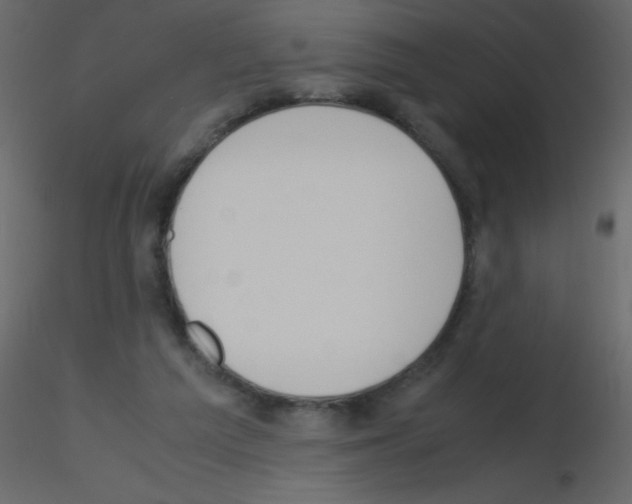 X0000115760209200912241736