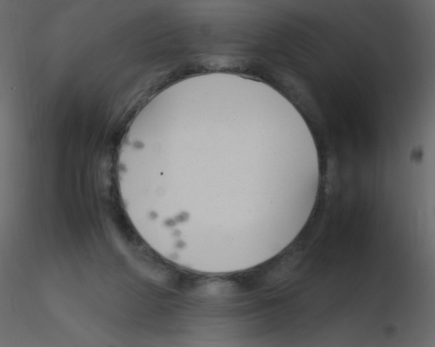 X0000115760210200912241736