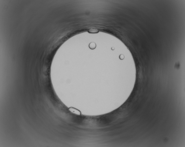 X0000115760211200912241736