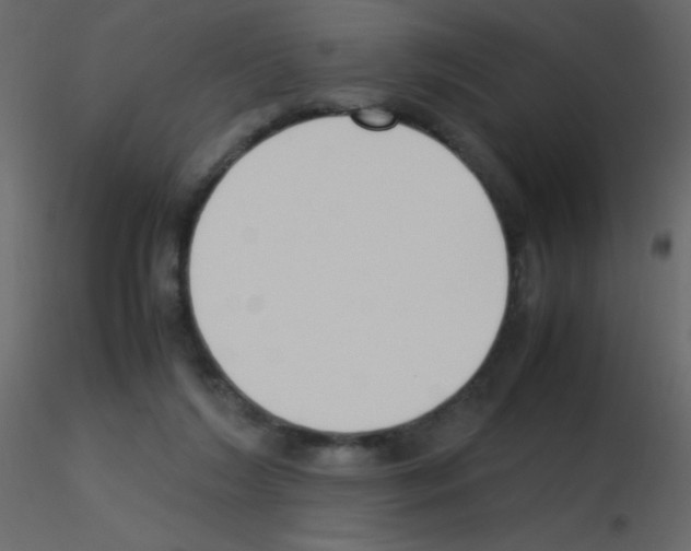 X0000115760212200912241736