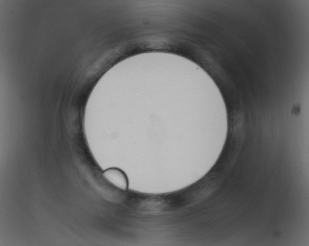 X0000115760213200912241736