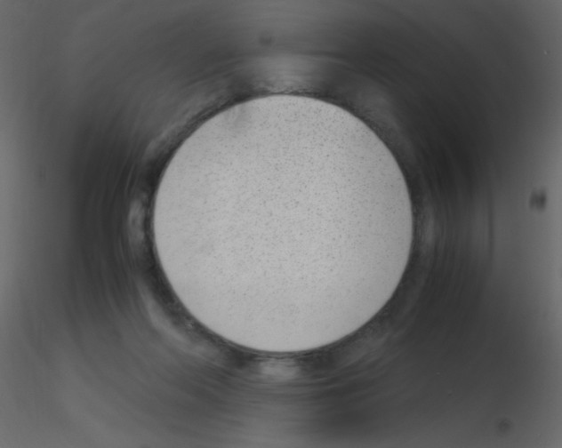 X0000115760214200912241736