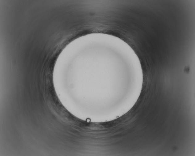 X0000115760215200912241736