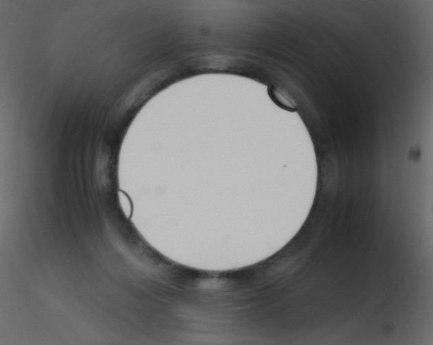 X0000115760216200912241736