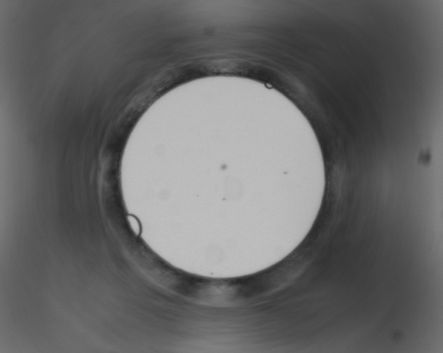 X0000115760217200912241736