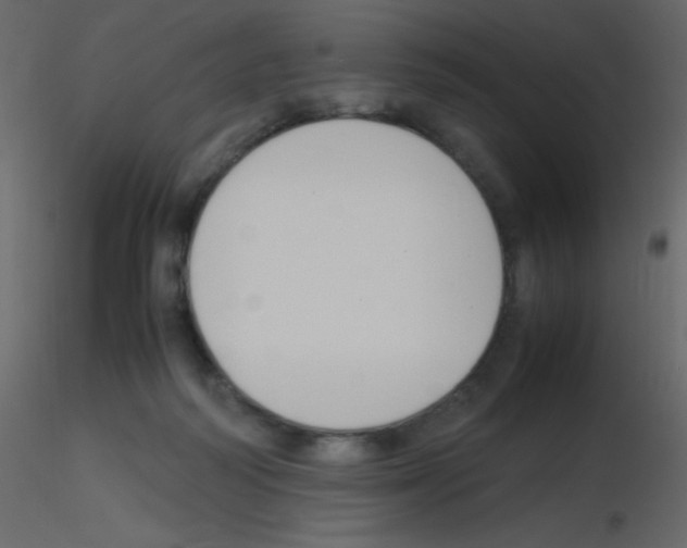 X0000115760218200912241736