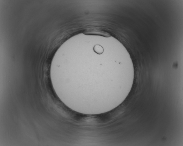 X0000115760219200912241736