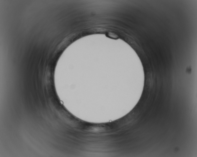 X0000115760220200912241736