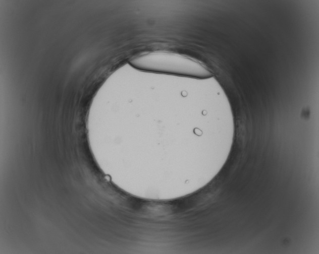 X0000115760221200912241735