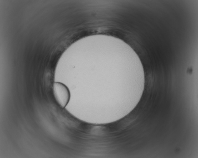 X0000115760222200912241735