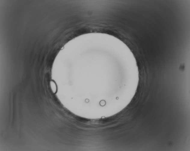 X0000115760225200912241735