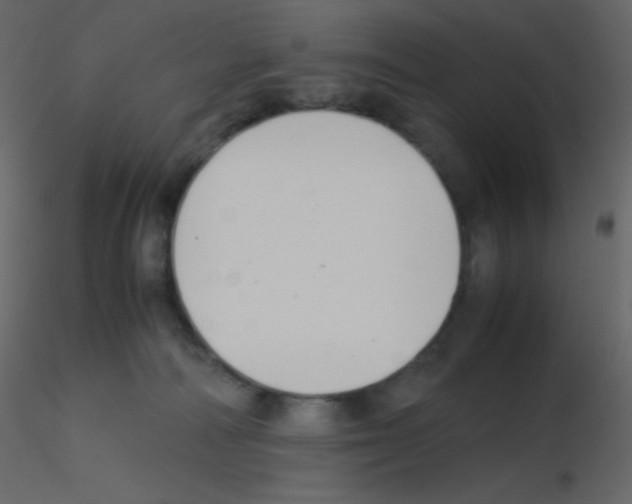 X0000115760226200912241735