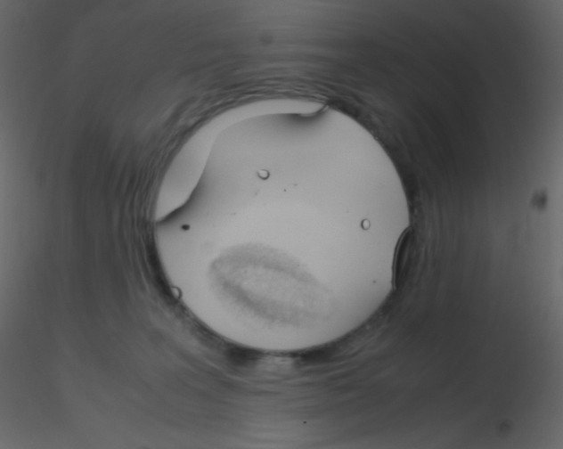 X0000115760227200912241735