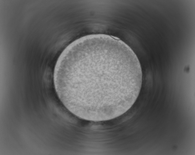 X0000115760228200912241735