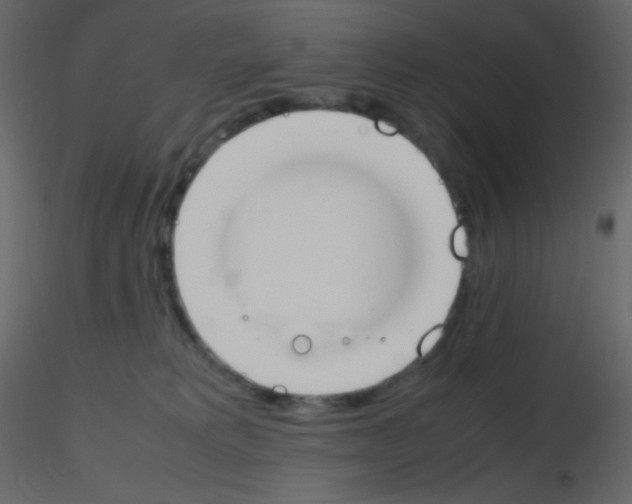 X0000115760229200912241735
