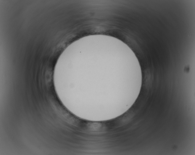 X0000115760230200912241735