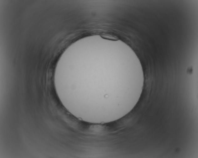 X0000115760231200912241735