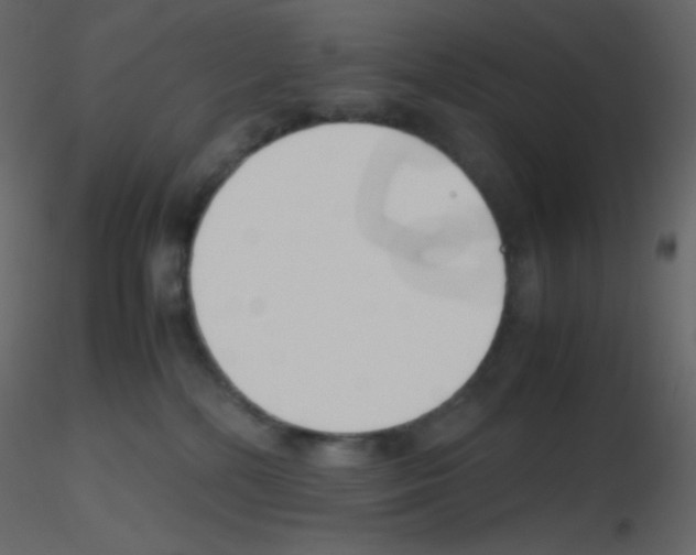 X0000115760232200912241735