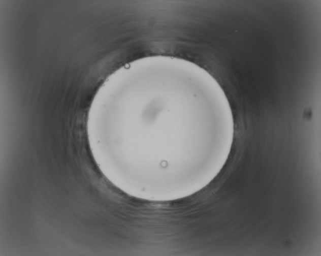 X0000115760233200912241735