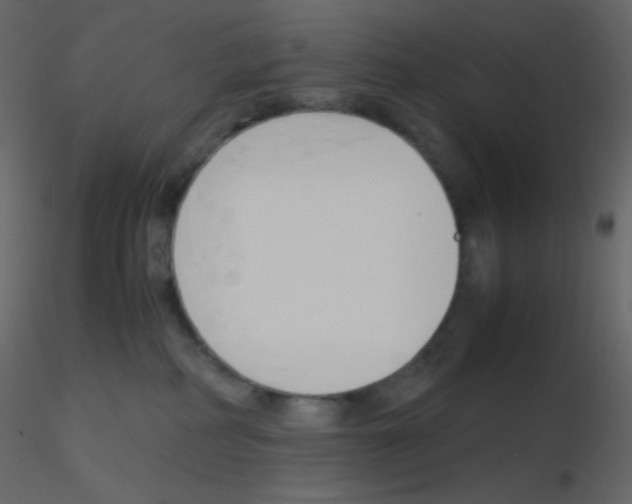 X0000115760234200912241735