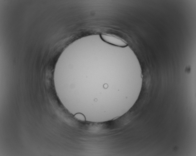 X0000115760235200912241735