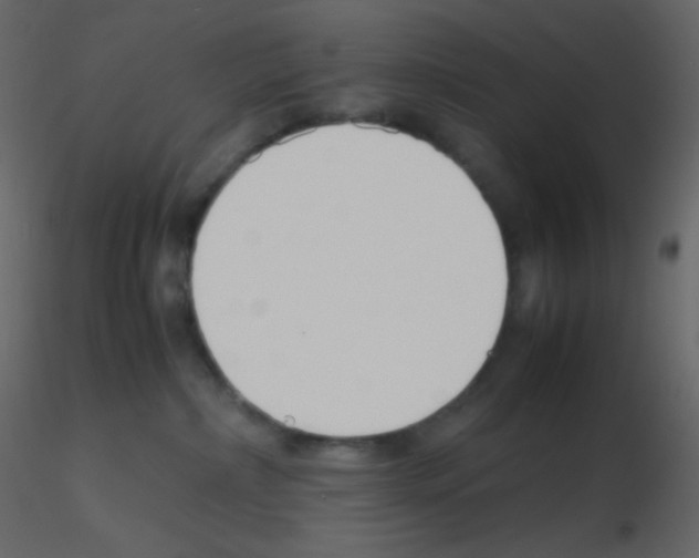 X0000115760236200912241735