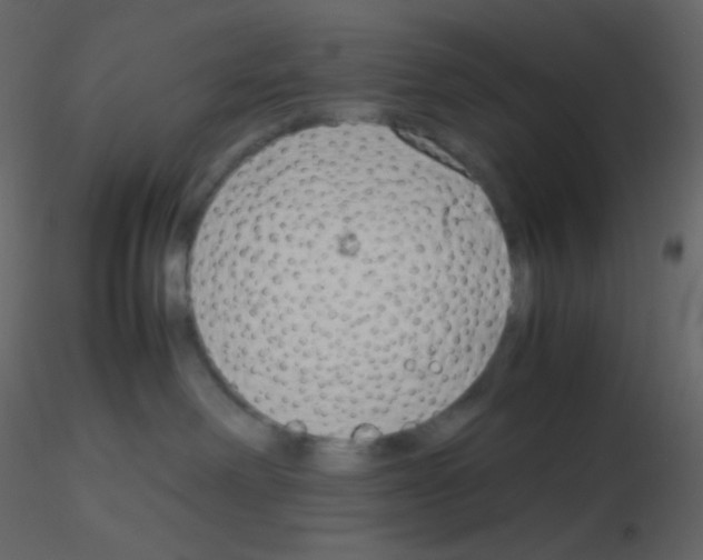 X0000115760238200912241735