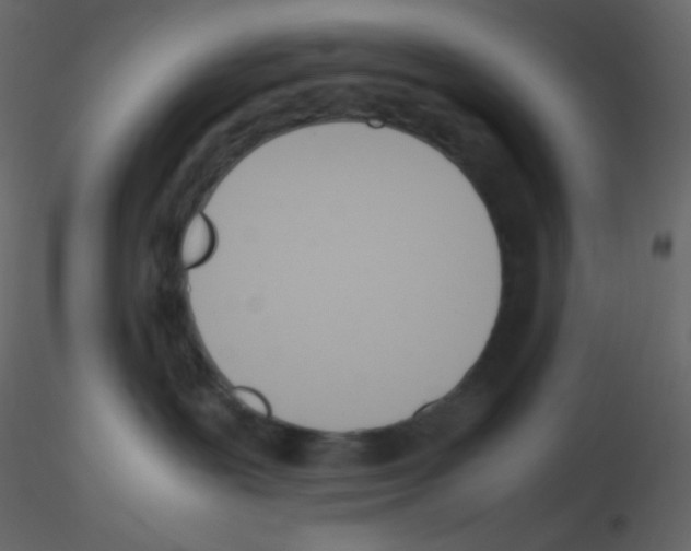 X0000115760239200912241735