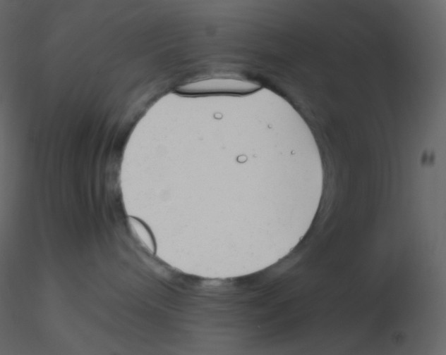 X0000115760240200912241735