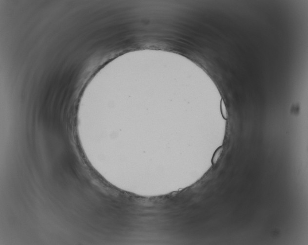 X0000115760241200912241735