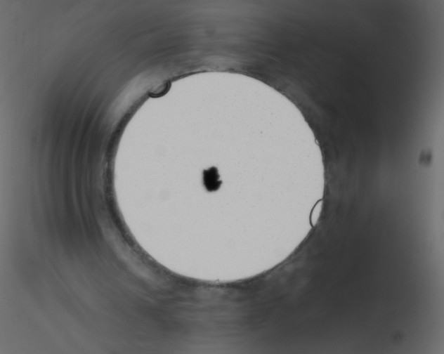 X0000115760242200912241735