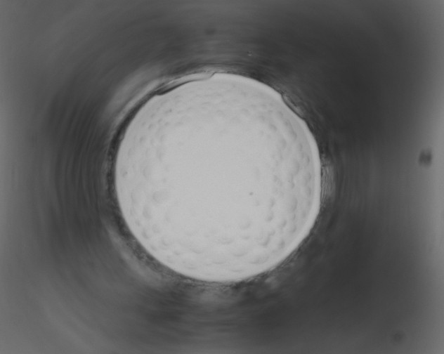 X0000115760243200912241735