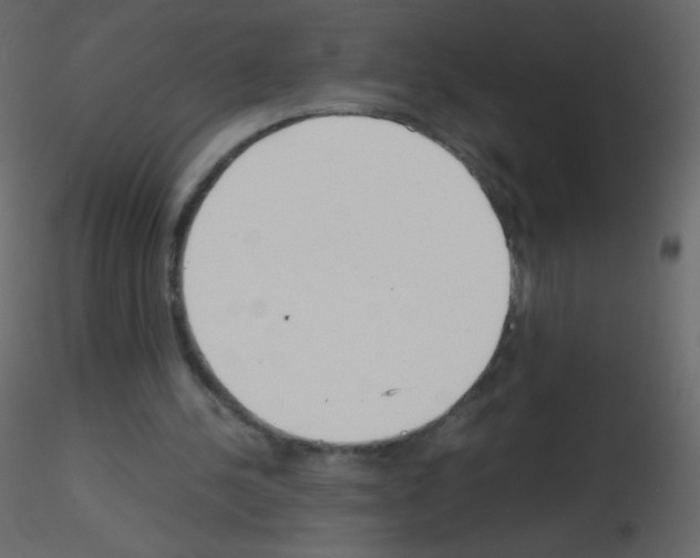 X0000115760244200912241735
