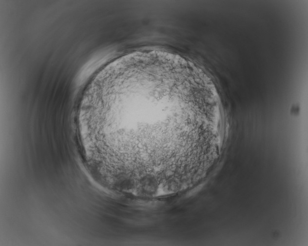 X0000115760245200912241735
