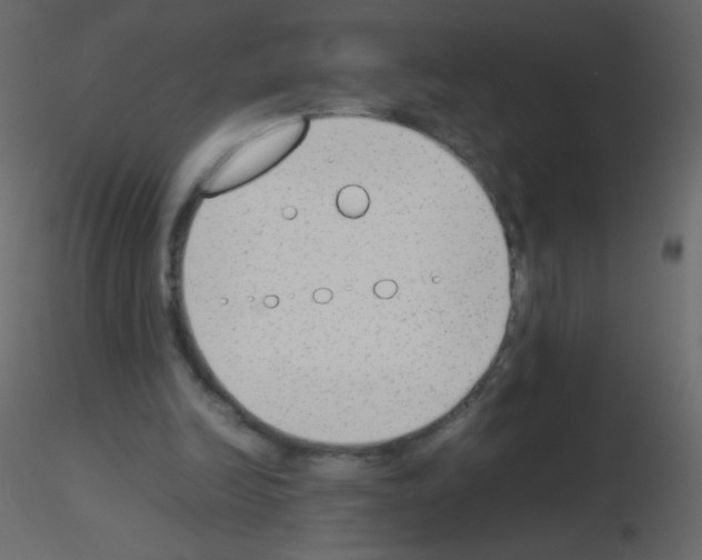 X0000115760246200912241735