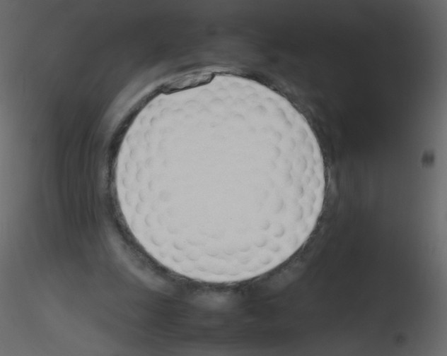 X0000115760247200912241735